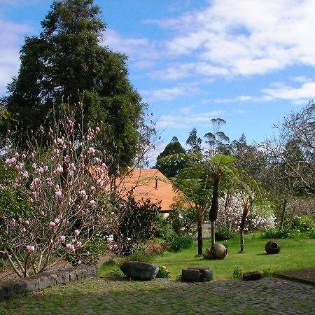 Santo Antonio da Serra Bio Quinta Do Pantano, Agro Turismo 빌라 외부 사진