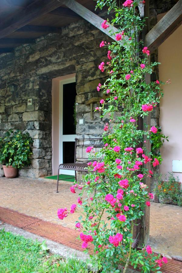 Santo Antonio da Serra Bio Quinta Do Pantano, Agro Turismo 빌라 외부 사진