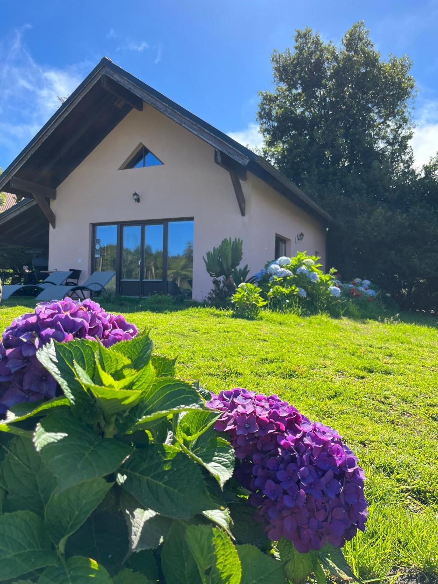 Santo Antonio da Serra Bio Quinta Do Pantano, Agro Turismo 빌라 외부 사진