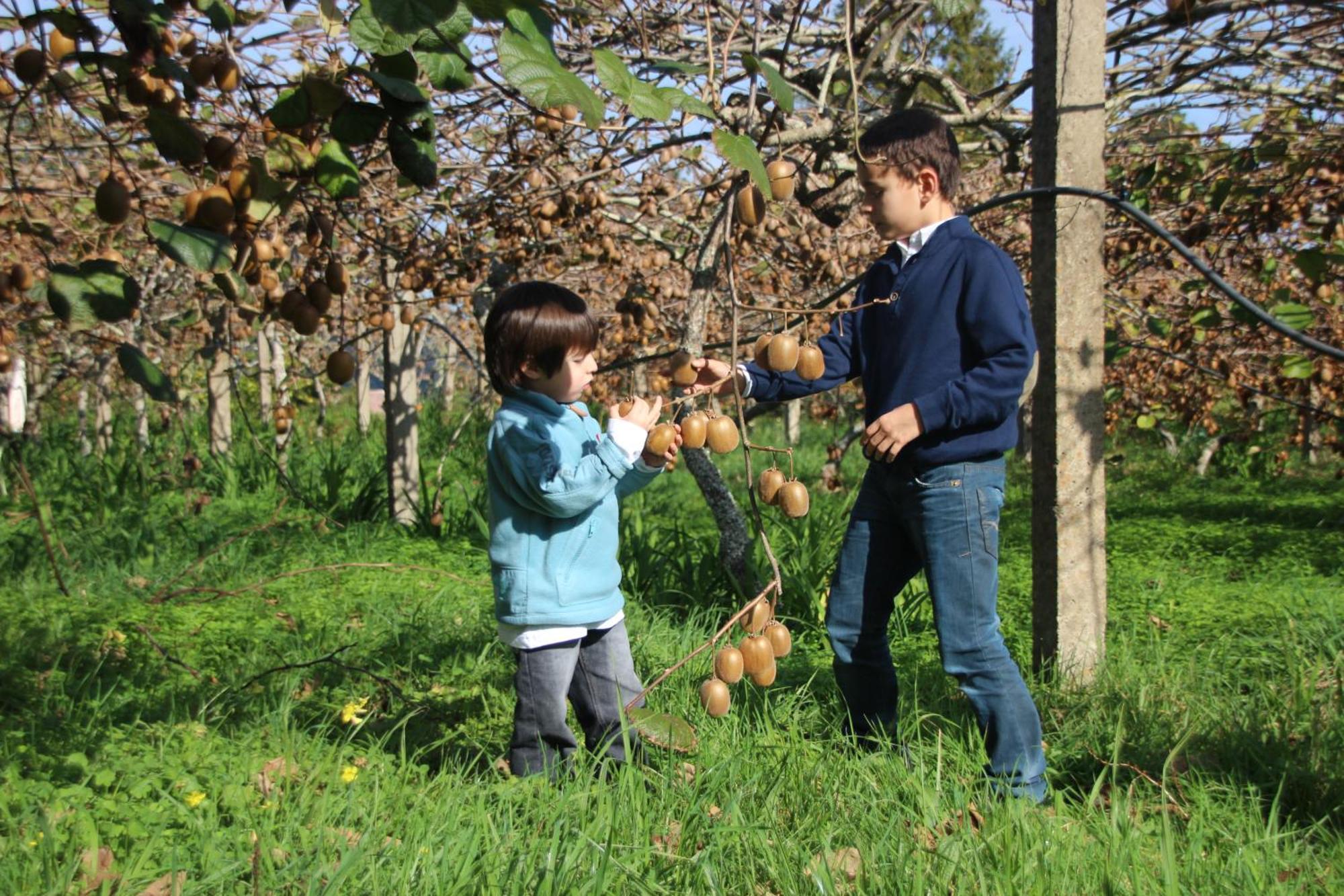 Santo Antonio da Serra Bio Quinta Do Pantano, Agro Turismo 빌라 외부 사진
