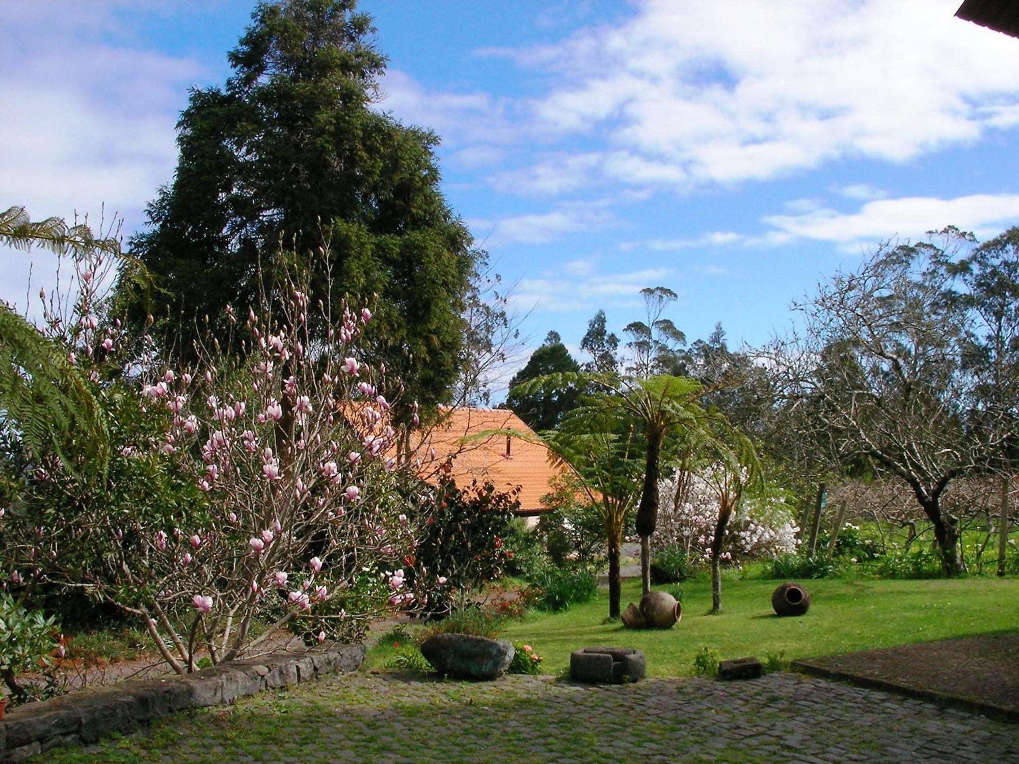 Santo Antonio da Serra Bio Quinta Do Pantano, Agro Turismo 빌라 외부 사진