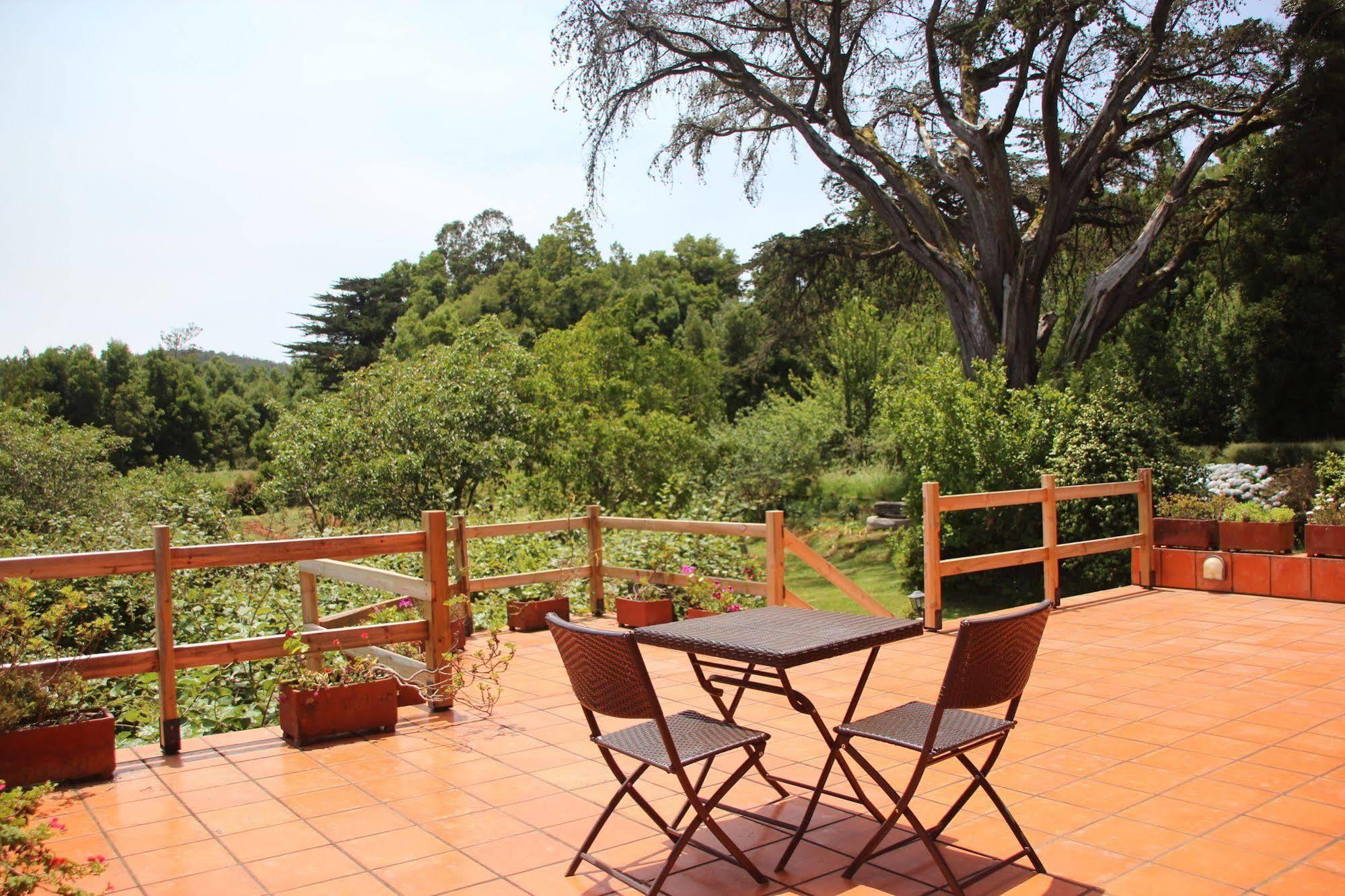 Santo Antonio da Serra Bio Quinta Do Pantano, Agro Turismo 빌라 외부 사진